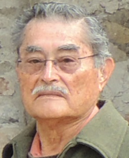 <span style="font-weight: bold;">DANIEL MIRANDA KOBE</span>